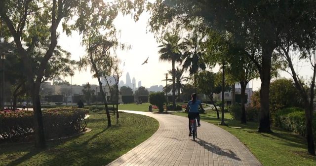 cycling tracks in dubai al barsha pond park inysdo dubai