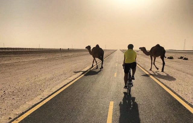 cycling tracks in dubai - al qudra cycle track c_turra