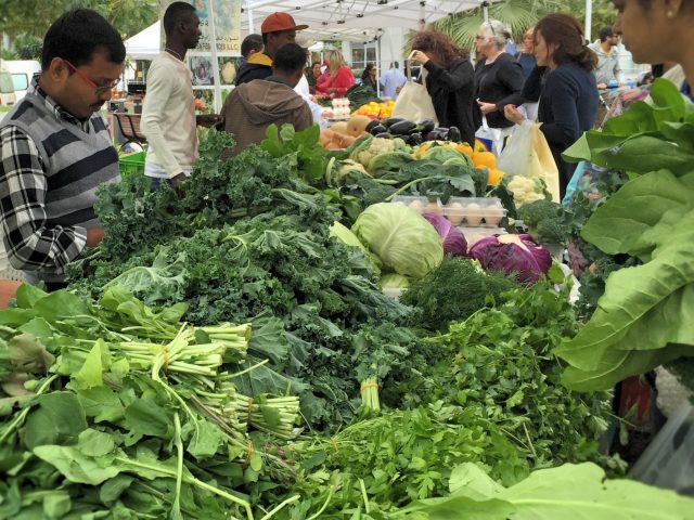 Markets in Dubai - Farmers Market Dubai