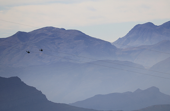 uae road trips from dubai places to visit in uae toroverde jebel jais zipline flight ras al khaimah