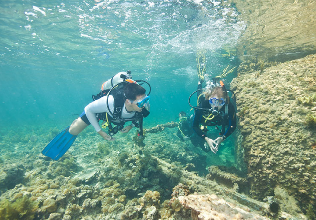 scuba diving in uae - sir bani yas island al mahara diving centre