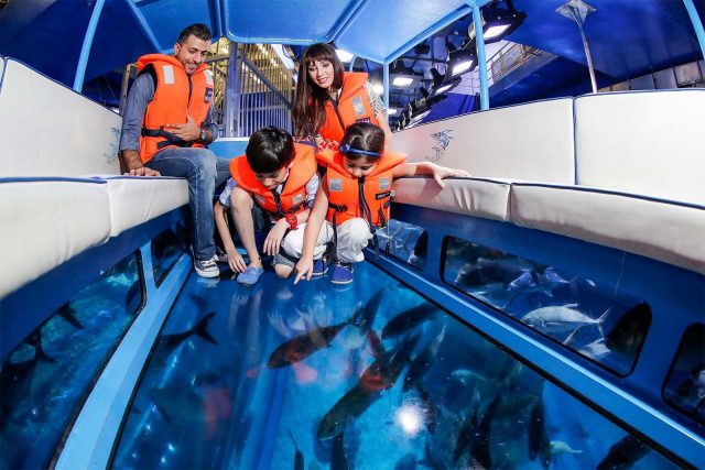 glass-bottom boat at dubai aquarium, dubai mall - Image via oddviser