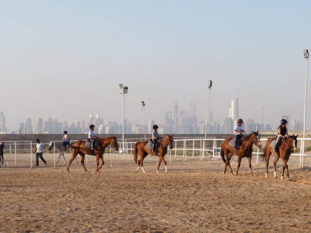 fun things to do in jebel ali - jebel ali equestrian club